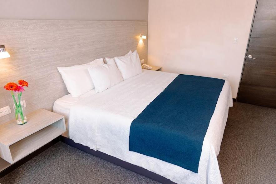 Kasa Hotel & Suites Irapuato Zewnętrze zdjęcie